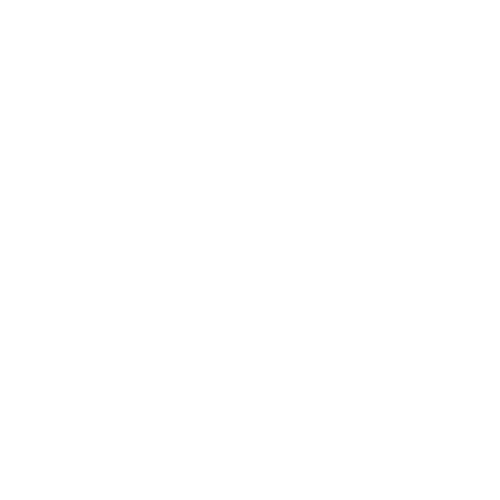 Bagzzly